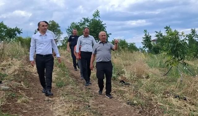Kaymakam çilek ve ceviz üretim alanlarını inceledi
