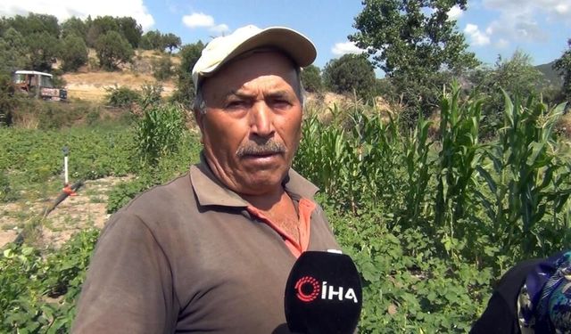 Çorumlu çiftçiler aracı olmadan pazarda ürünlerini satıyor