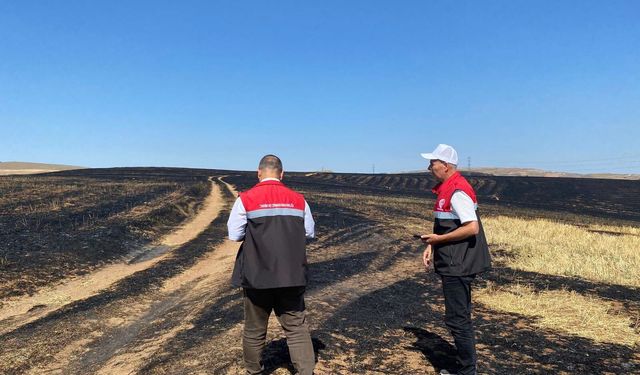 Çöplü köyünde zarar tespit çalışmaları yapıldı