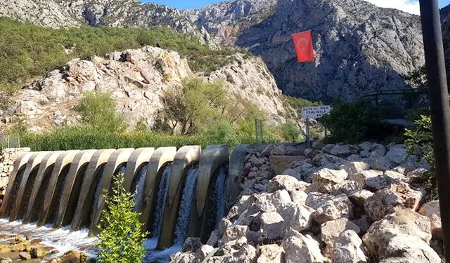 Orman Parkı ihaleyle kiraya verilecek