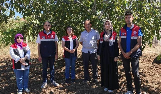 Ceviz bahçeleri denetlendi