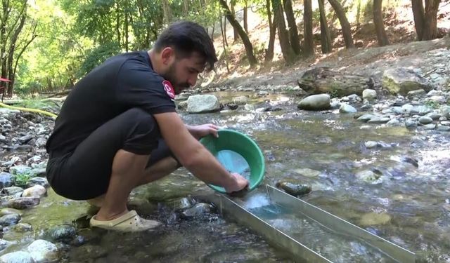 Derelerde her gün 5 gram altın çıkarıyorlar