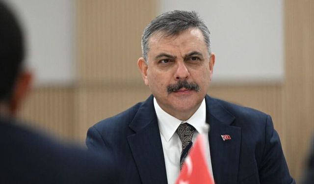 Türkiye'deki sokak hayvanlarının yüzde 99,7'sinin toplandı