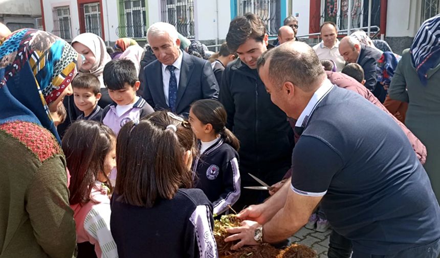 İskilip'te çilek yetiştiriciliği eğitimi verildi