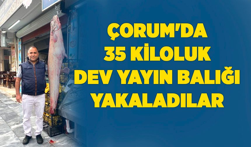 Bu balık 60 kişiyi doyuruyor