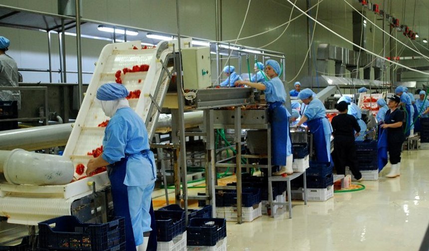 Dış ticaret rakamlarımız şubatta sert düştü