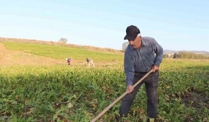 Çorum'da 43 bin 954 çiftçiye bugün ödeme yapılacak