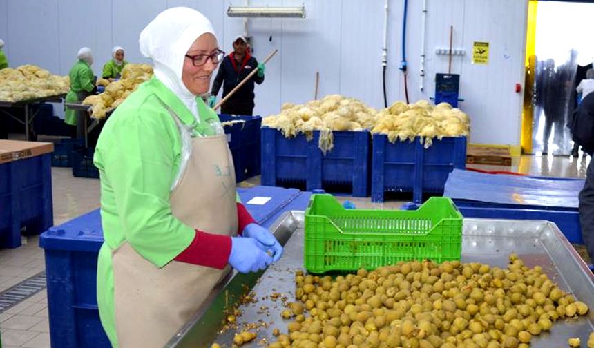 Çorum turşuyu domine eden iller arasında