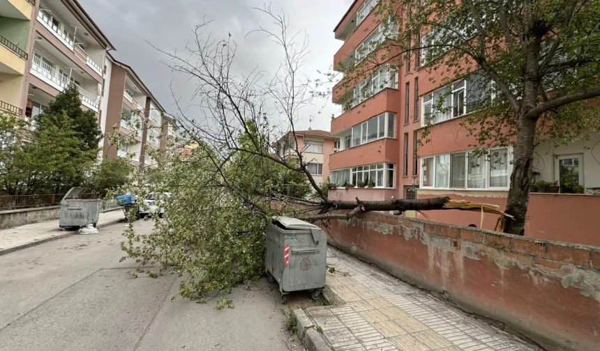 Kuvvetli rüzgar uyarısı