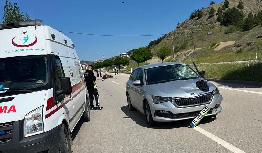 İneğe çarpan otomobilin sürücüsü yaralandı