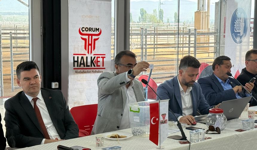 Padoklar için kura çekildi