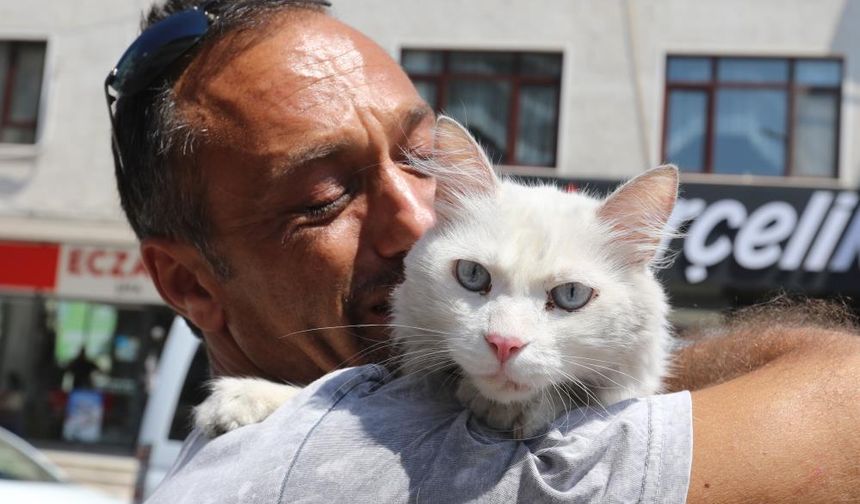 Kayıp kedisine günler sonra kavuştu