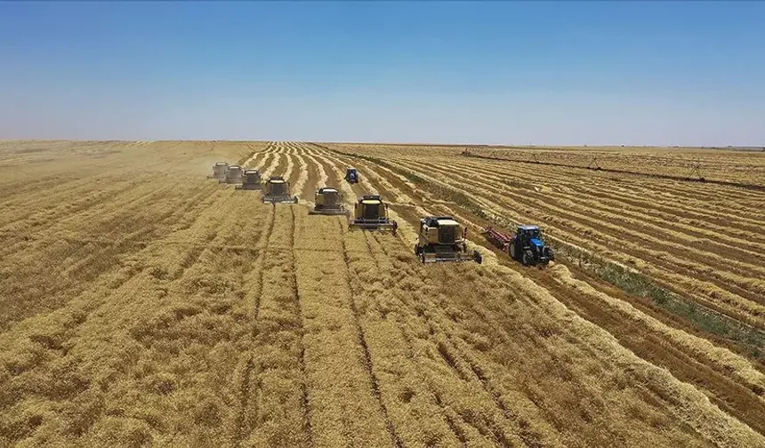 FAO'dan Türkiye'deki projelere 8,1 milyon dolarlık kaynak