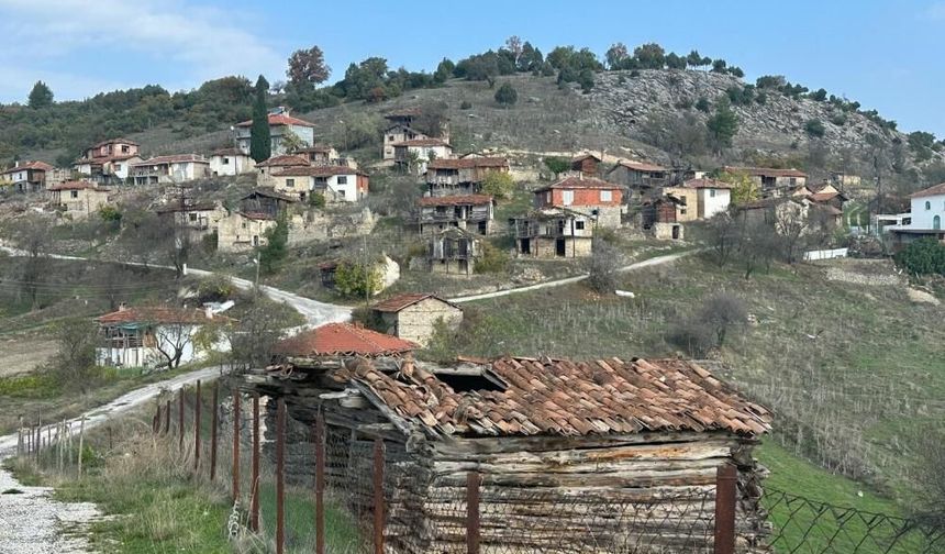 4 köyde hazine arazisi satışa çıkarıldı