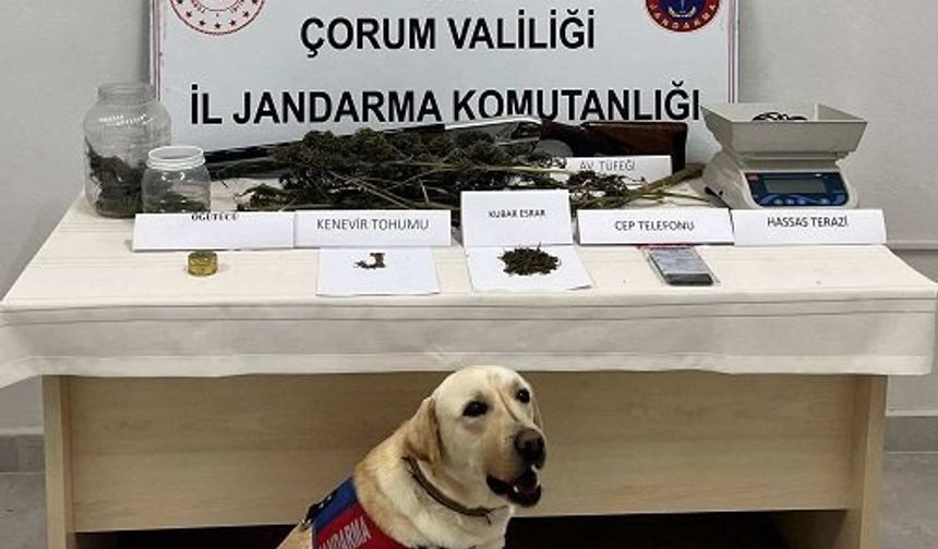 Uyuşturucu operasyonu:  1 kişi tutuklandı