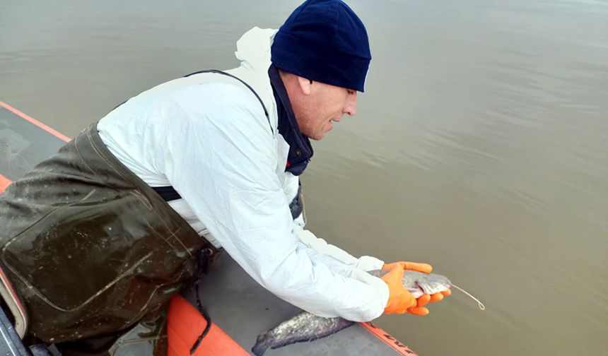 2.7 km uzunluğunda  kaçak ağ ele geçirildi