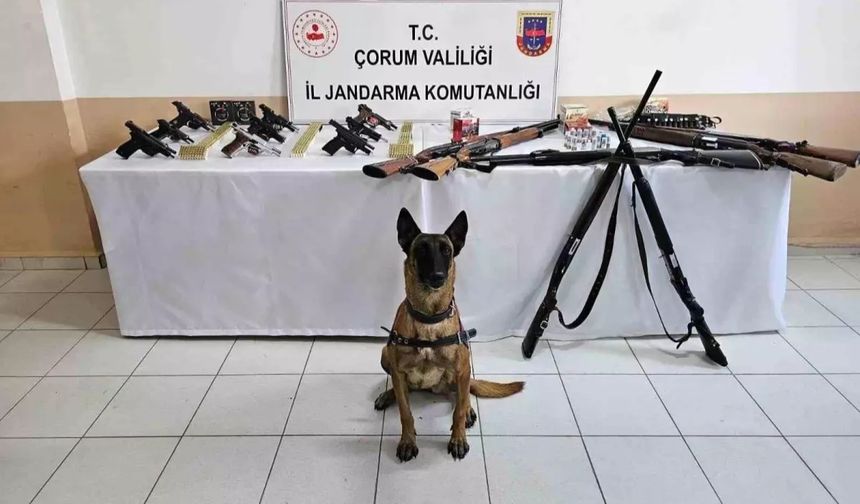 Çorum'da düğün magandalarına operasyon : 11 gözaltı