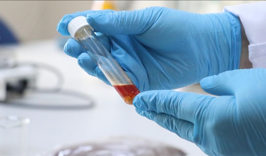 Tekirdağ'da üzüm atığından yüksek değerli tek hücre yağı üretildi