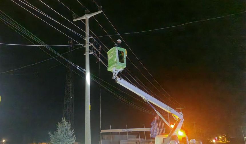 Kamyon, elektrik ve telefon hatlarına zarar verdi
