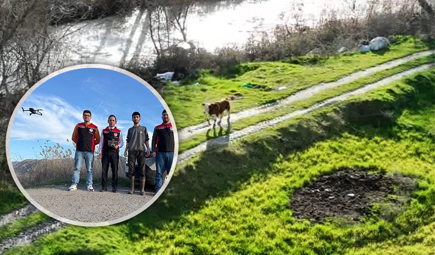 Kayıp buzağı 72 saat sonra dron ile bulundu