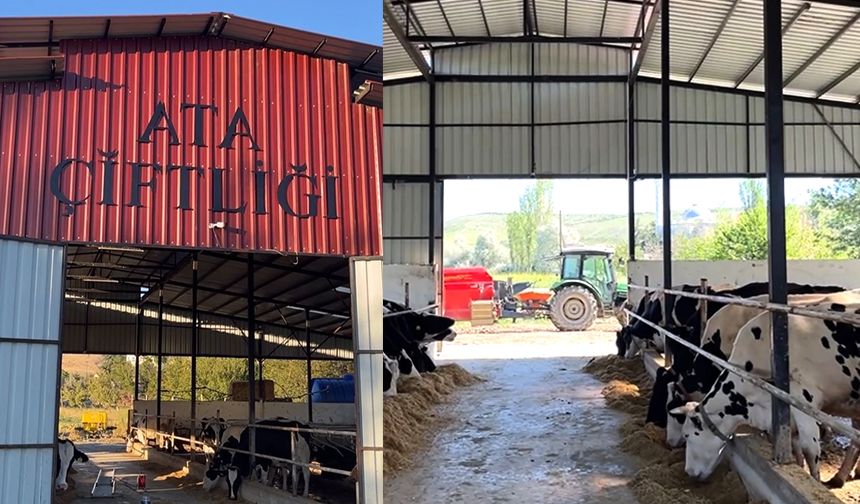 Çorum'da bu çiftlik ‘Arilik Sertifikası’ aldı