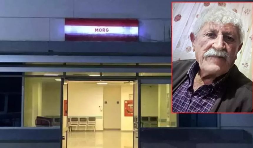 Yaşlı adamın kesik başı da bulundu