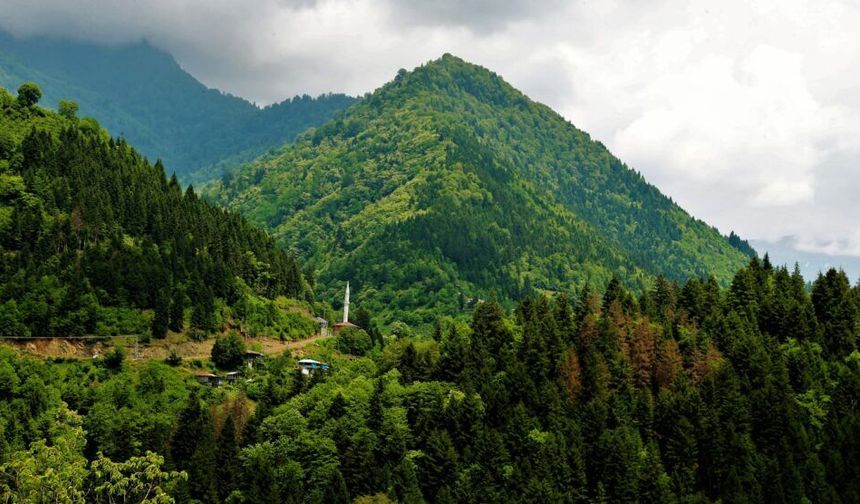 Çorum'da bazı alanlar orman sınırları dışına çıkarıldı