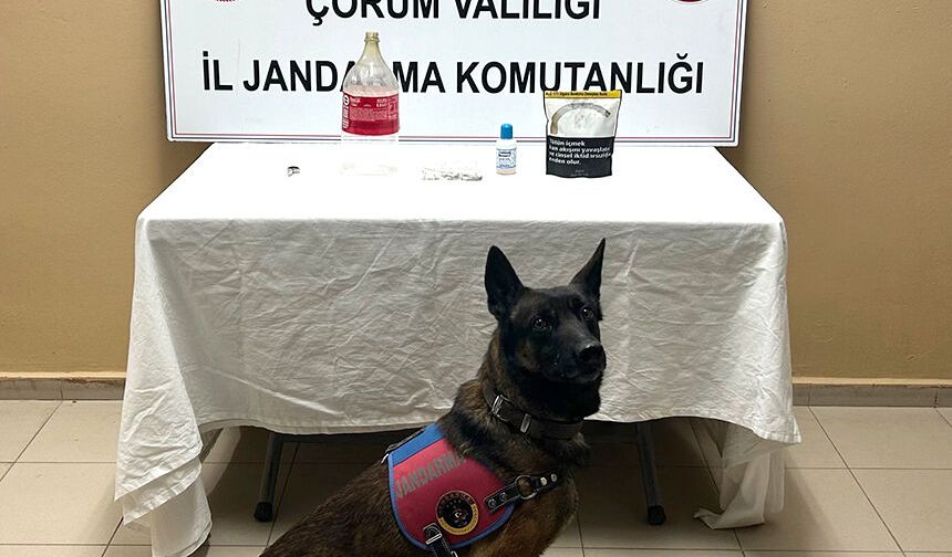 Uyuşturucu operasyonunda 1 kişi yakalandı