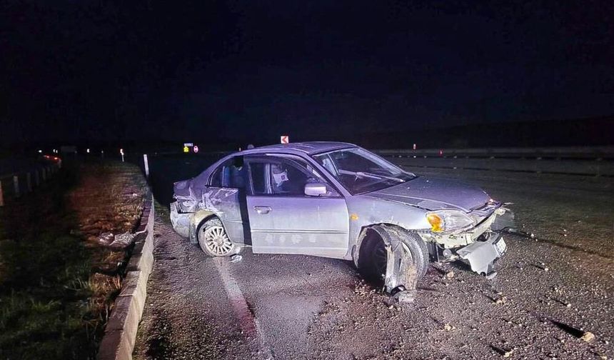 Yağış sonrası kayganlaşan yolda kontrolden çıktı