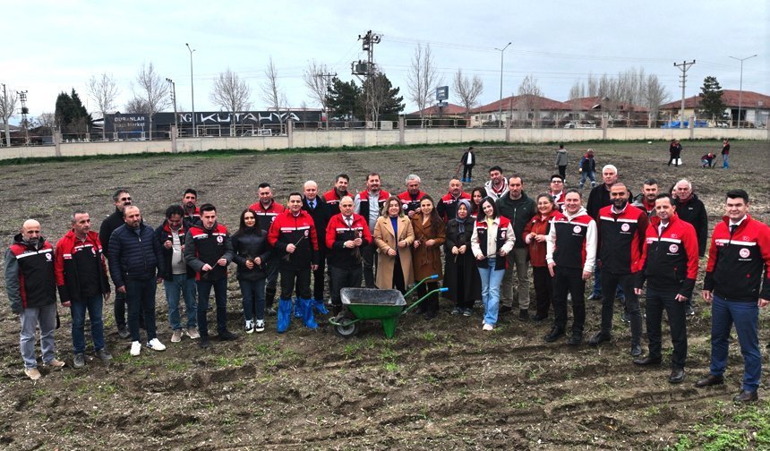 Müdürlük bahçesine bağ tesisi kuruldu