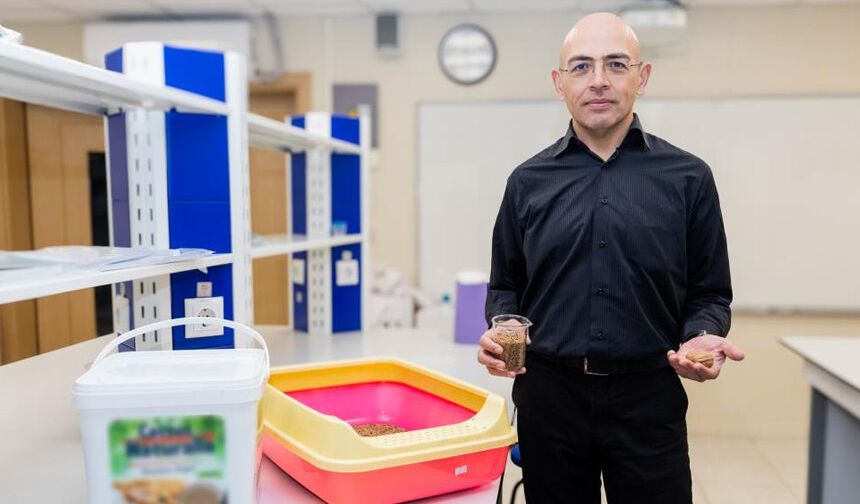 Çorumlu öğretim üyesi ceviz kabuğundan kedi kumu üretti