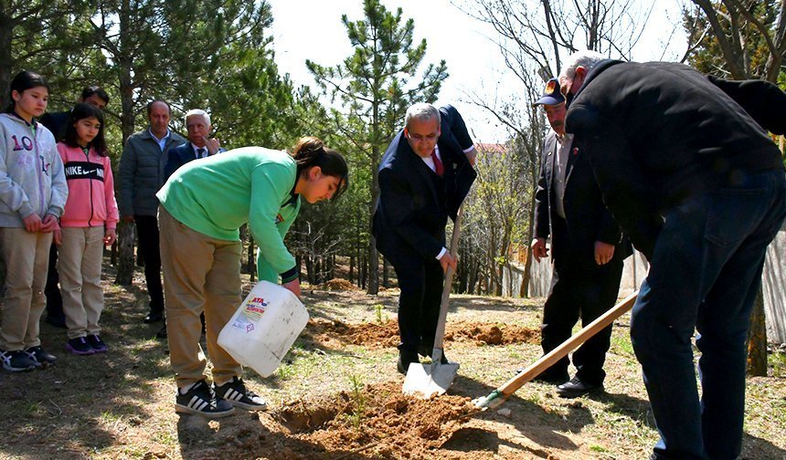 Şehidimizin hatırası bu ormanda yaşayacak