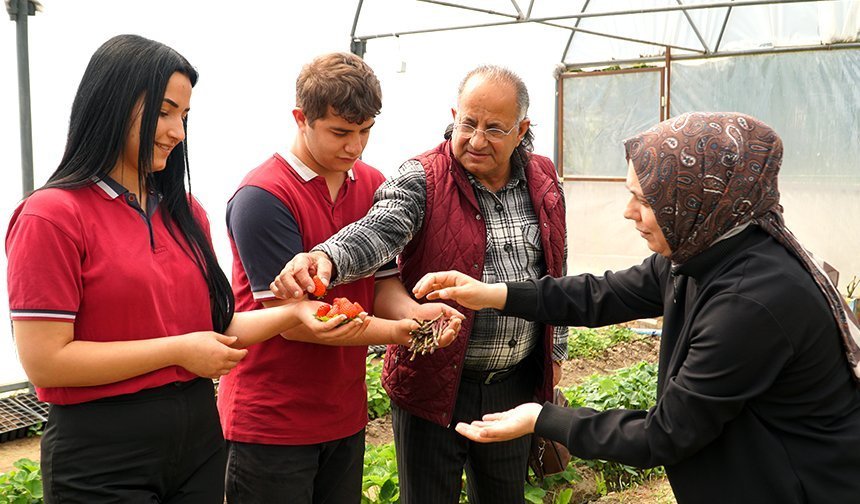 Çorum'da bu lisede kuşkonmaz yetiştiriliyor