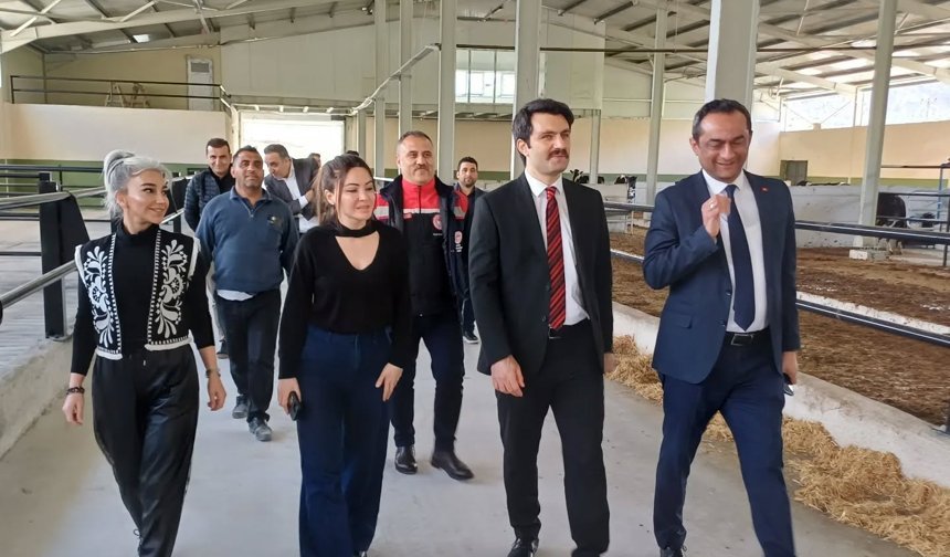 Çorum'da milletvekili adayı mimar, çiftçi oldu