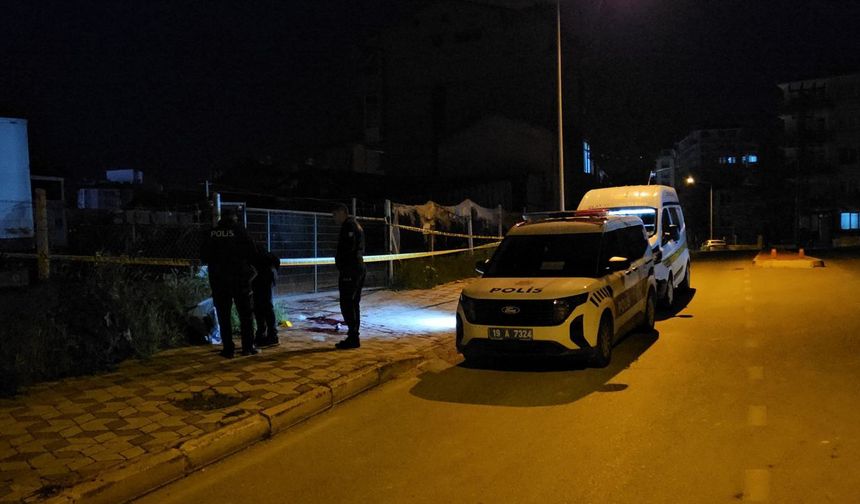 Konser sonrası kavga: 1 kişi yaralandı