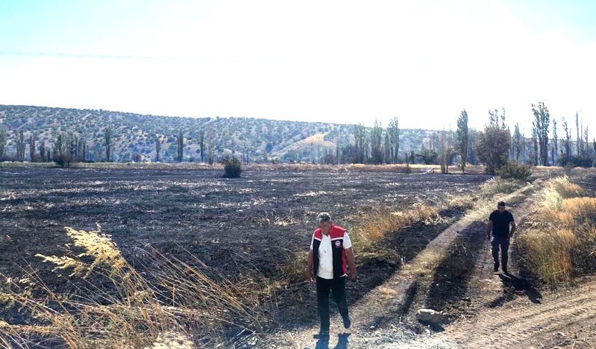 Onlarca dönüm arazi küle döndü