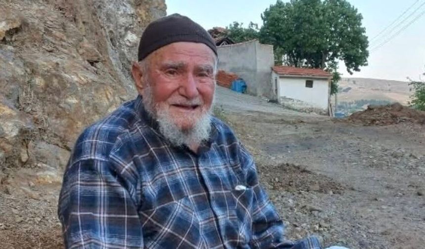 Asırlık çınar hayatını kaybetti