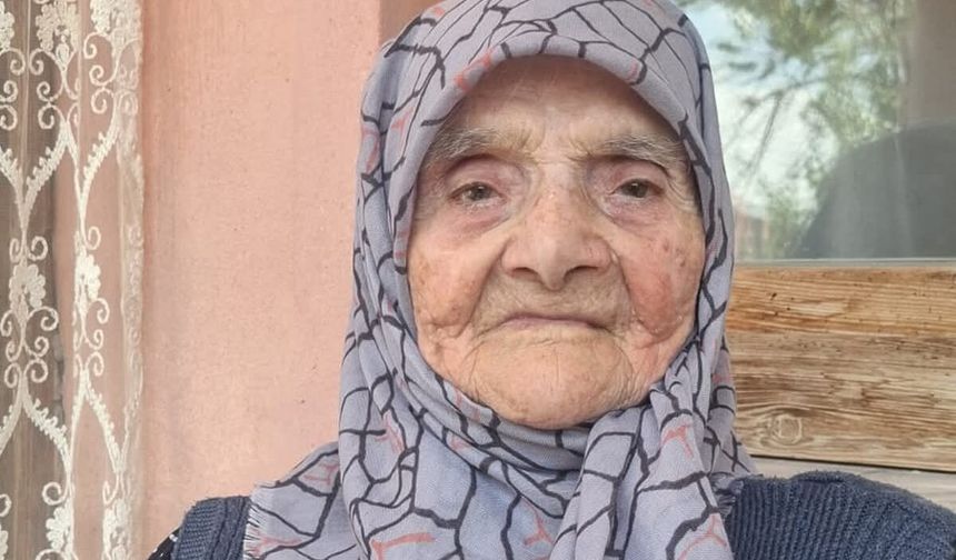 Asırlık çınar hayatını kaybetti