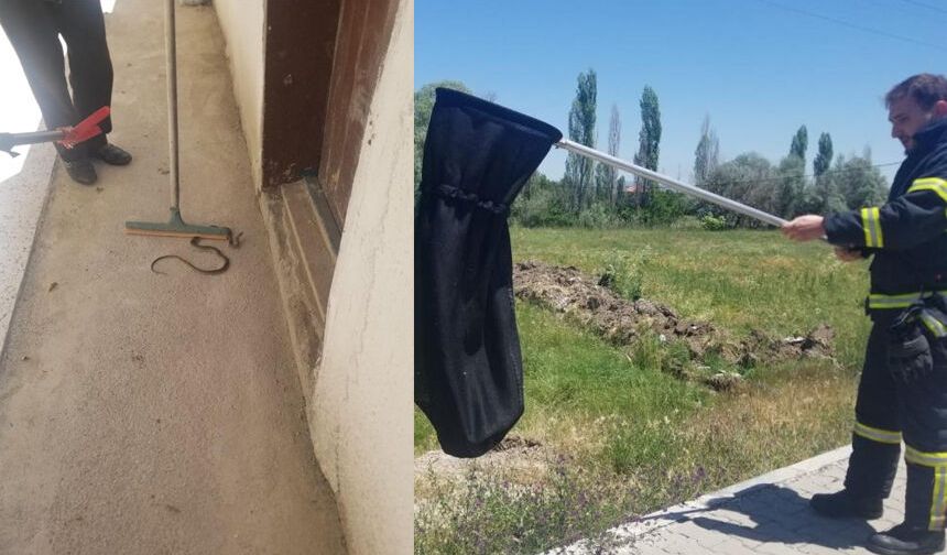 Eve giren yılanı itfaiye yakaladı