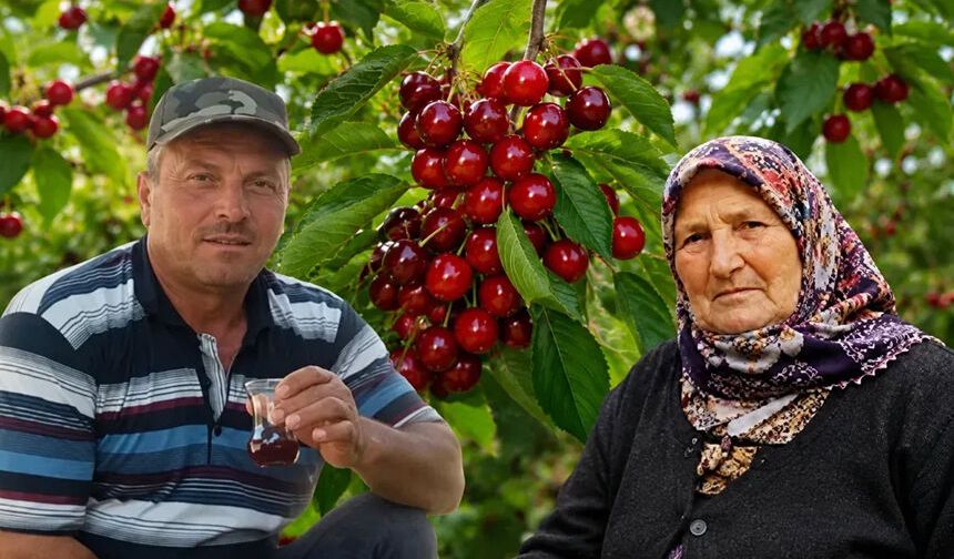 Kiraz yediler peş peşe öldüler!