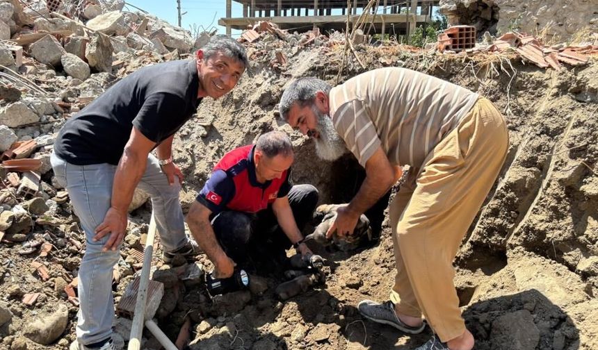 8 yavru köpeği itfaiye kurtardı