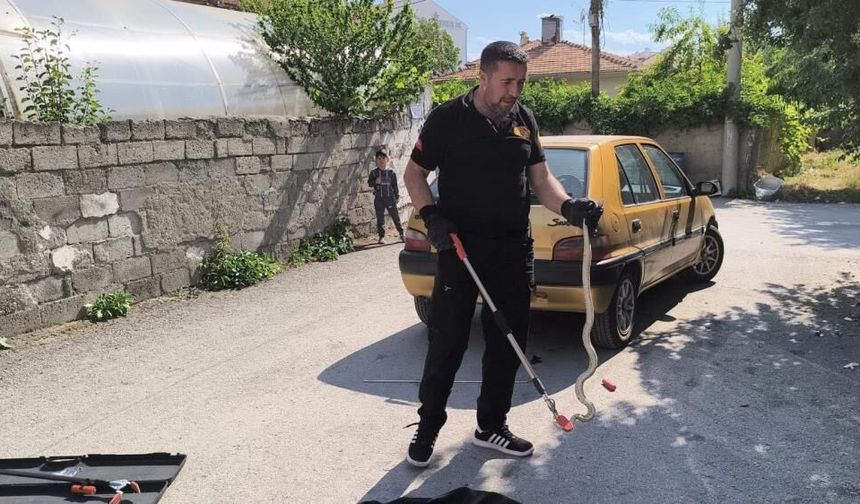 Otomobilin altına giren yılan itfaiye ekiplerince çıkarıldı