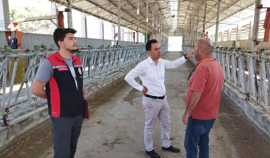Damızlık sığır ithalatı için inceleme yapıldı