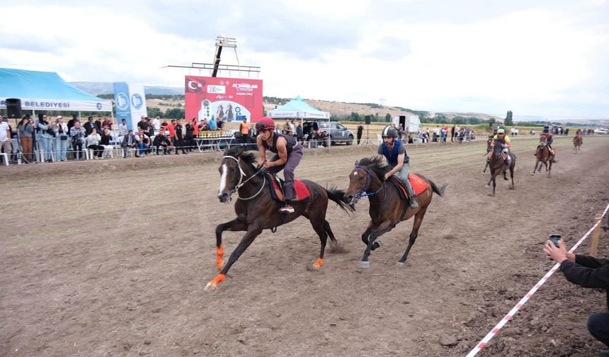Çorum'da İngiliz ve Arap atları parkura çıktı