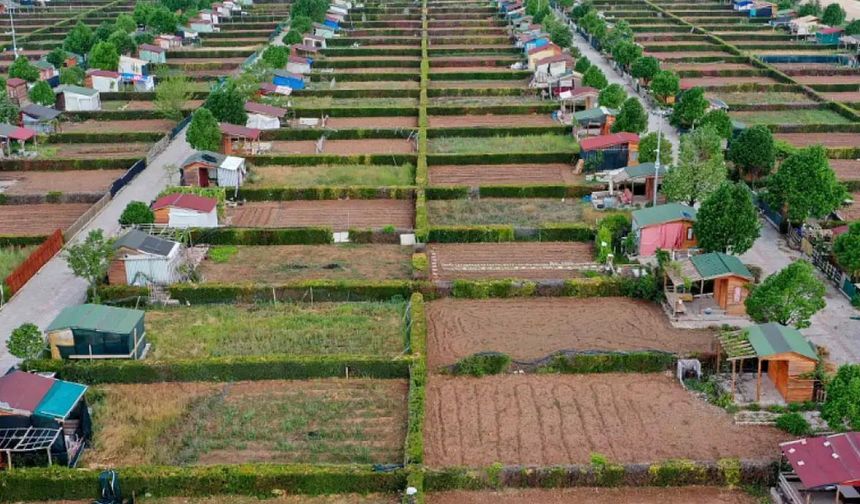 Hobi bahçeleri ve Bungalovlar için karar verildi