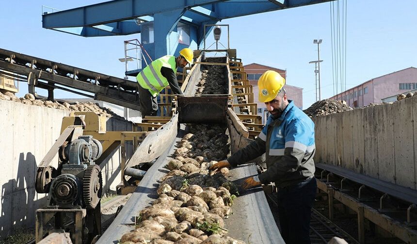 Çorum Şeker Fabrikası 200 kişi alacak
