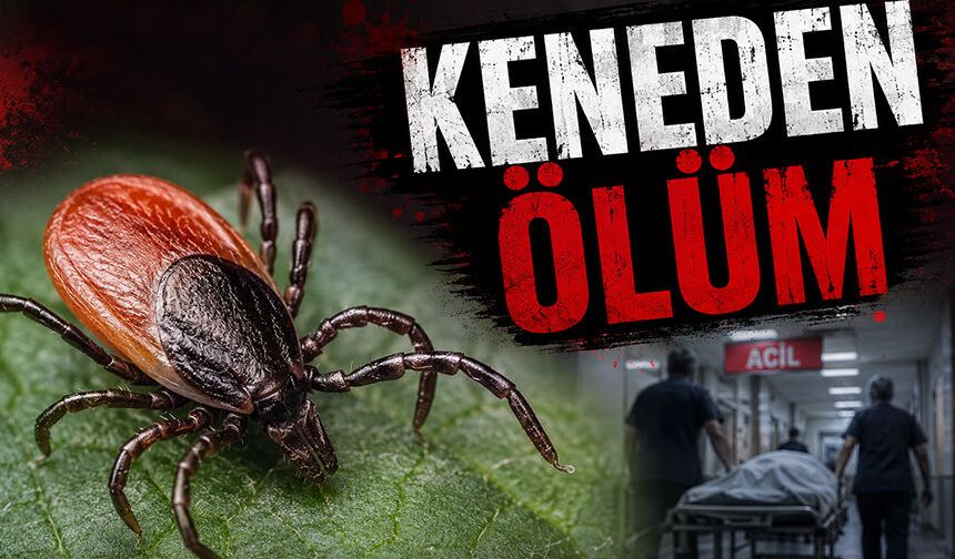 Çorum'da kene can aldı!