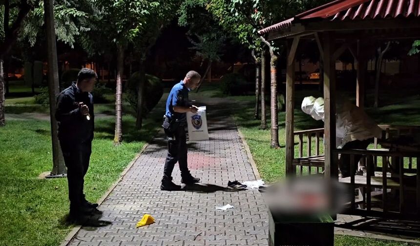 Çorum'da 16 yaşındaki çocuk 2 kişiyi parkta vurdu!