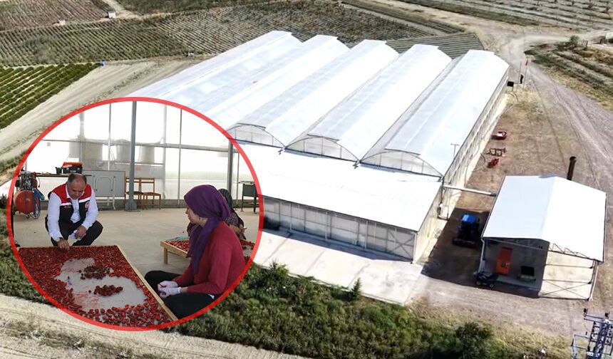 Çorum'da bu tesiste yıllık 5 milyonun üzerinde üretim yapılıyor