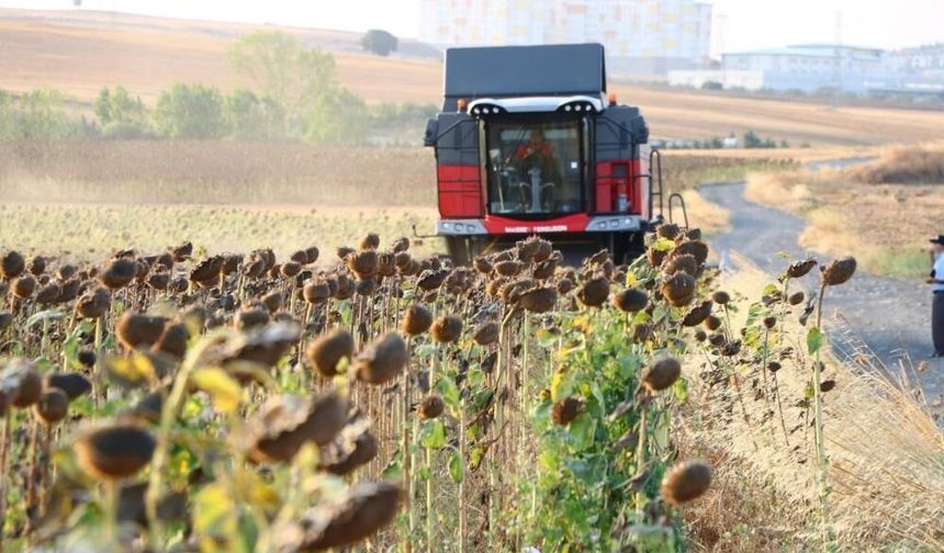 Yağlık ayçiçeği alım fiyatı açıklandı